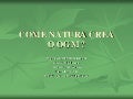 Come Natura Crea