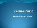 Comida china