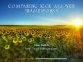 Comparing Kick Ass Web Frameworks
