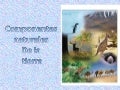 Componentes naturales de la tierra
