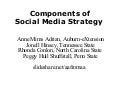 Components of Social Media Strategy