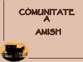 Comunitatea amish f 1.3