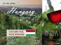 Concept For Wine Business In Hungary Final