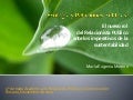 Relaciones Públicas y Sustentabilidad