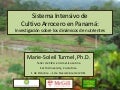 1179-Sistema Intensivo de Cultivo Arrocero en Panama