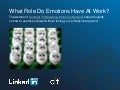 The Role of Emotions at Work
