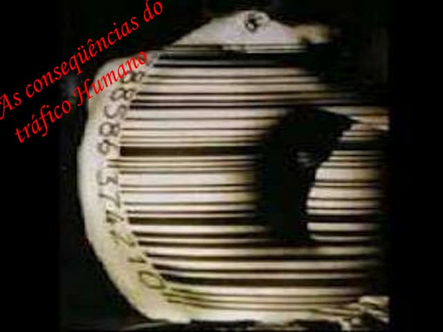 Consequências do tráfico humano 8º ...