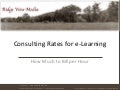 Hourly Rate for Independent Consultants