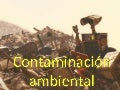 Contaminación ambiental