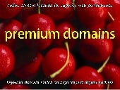 PREMIUM DOMAINS the (web content) i...