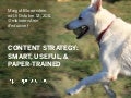 Content strategy SmartUsefulPaperTrained