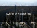 Future Ownership in China, 2022