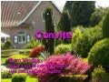 Convite