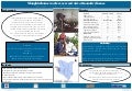 Slaughterhouse workers as reservoirs of zoonotic disease