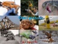 Cool pictures www.planetbossi.ch