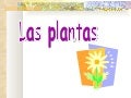 Las plantas