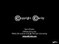 Copyright Clarity 