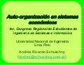 Auto-organización en sistemas económicos