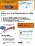 CORE Reputation Management
