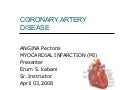 Coronary Artery Disease Cvs 2 Es (1)