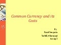 Costs Of Common Currency