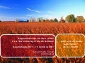 Déploiement de services OGC à la FADQ