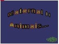 Projeto Animais