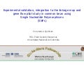 Experimental validation, integration to the linkage map and gene flow pilot study in common bean using Single Nucleotide Polymorphisms (SNPs)