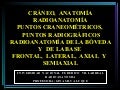 RADIO ANATOMIA CRANEO