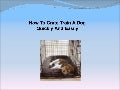 How To Crate Train A Dog Quickly And Easily