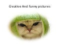 Creative and funny pictures