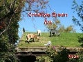 Creative Green Art (Cmp)