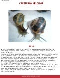 Cresterea melcilor