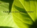 Cresterea si dezvoltarea plantelor