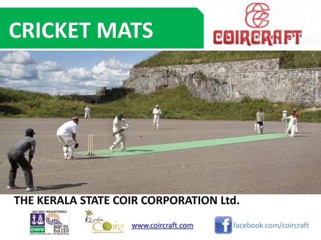 Cricket Mat for Practice 