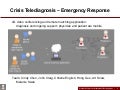 Crisis telediagnosis mobile app