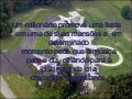 Crocodilo