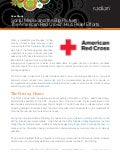 American Red Cross Social Media Case Study for Haiti