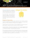 Cirque du Soleil Social Media Case Study