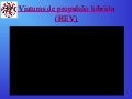 Csd  veiculos  híbridos