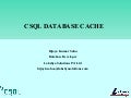 Csql Cache Presentation