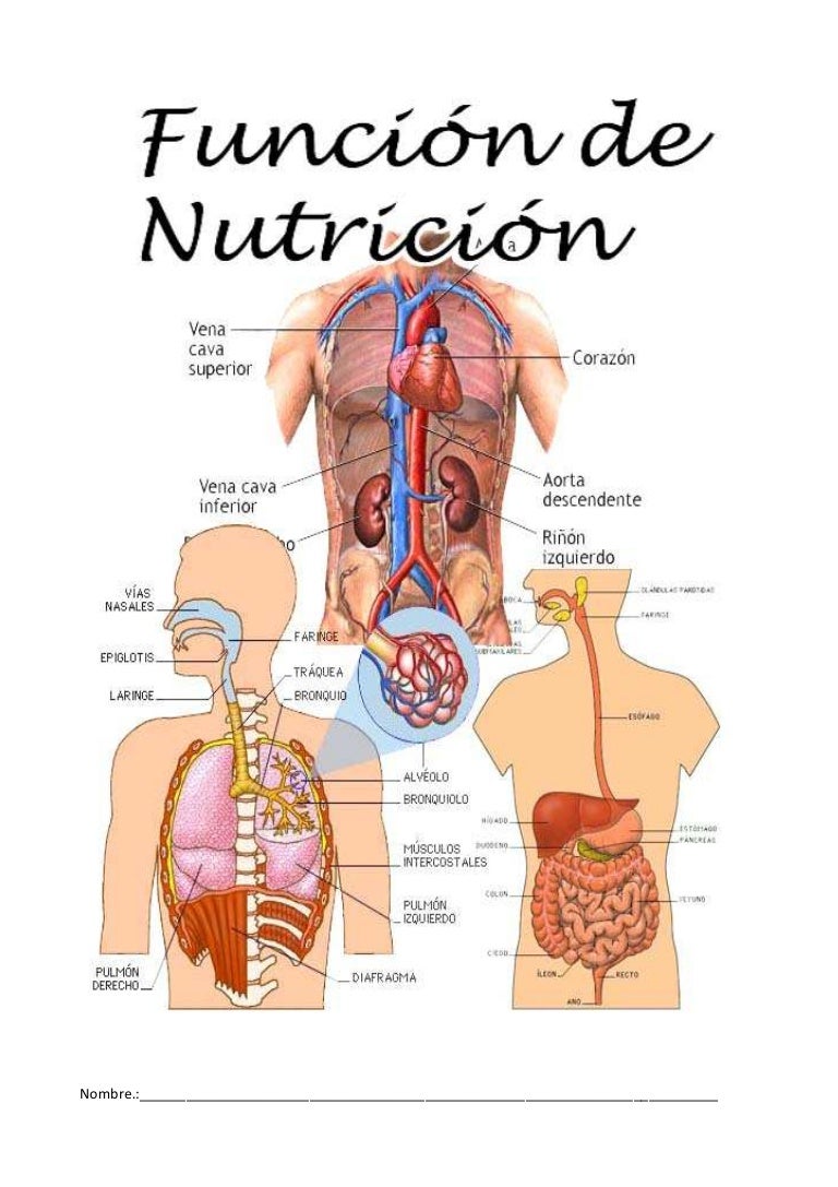 PMAR EXPERIENCE NUTRICIÓN PMAR EXPERIENCE NUTRICIÓN