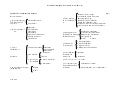 Cuadros SinóPticos Los Siete Sacramentos