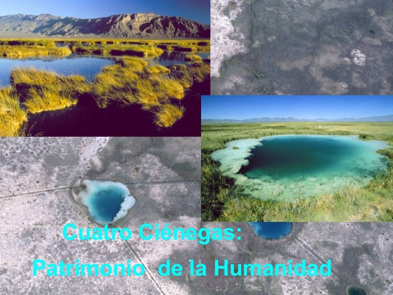 CUATROCIENEGAS :) Cuatro-cienegas-1219369685926915-8-thumbnail-4