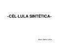 CÈL·LULA SINTÈTICA