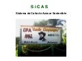 1303 SiCAS Sistema de Caña de Azúcar Sostenible