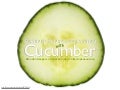 Behavior Driven Development with Cucumber
