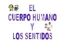 Cuerpo Y Sentidos Tema 3