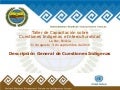 Descripción general de cuestiones de los indigenas