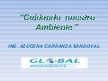 Cuidemos Nuestro Ambiente